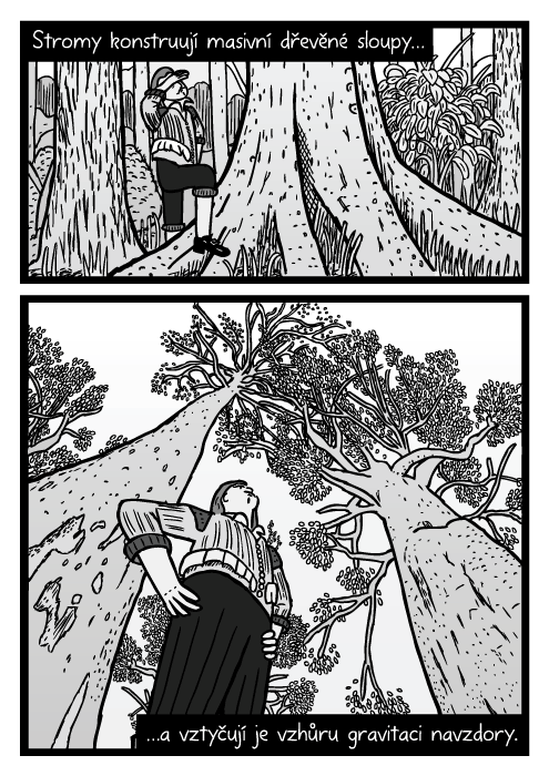 Kresba muže pod stromem z podhledu. Komiks kmeny stromů. Stromy konstruují masivní dřevěné sloupy…a vztyčují je vzhůru gravitaci navzdory.