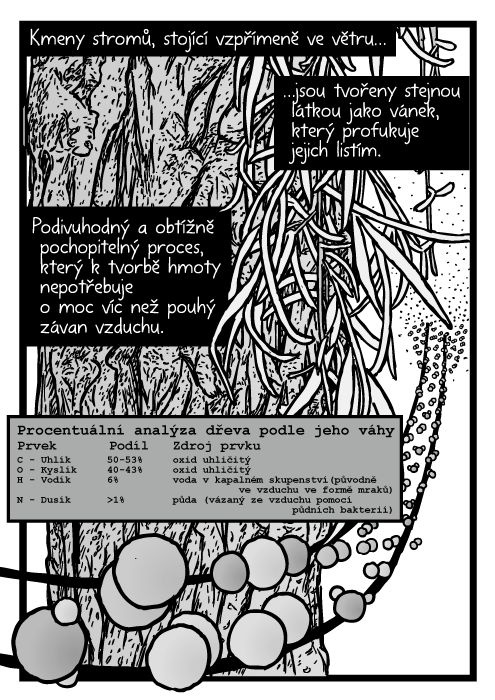 Strom kůra stromy kresba. Komiks uhlík vodík kyslík atomy. Molekuly oxidu uhličitého. Kmeny stromů, stojící vzpřímeně ve větru…jsou tvořeny stejnou látkou jako vánek, který profukuje jejich listím. Podivuhodný a obtížně pochopitelný proces, který k tvorbě hmoty nepotřebuje o moc víc než pouhý závan vzduchu.