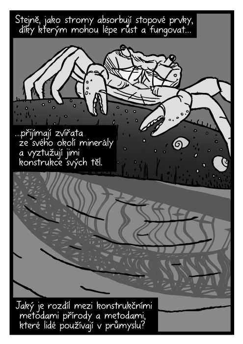 Krab komiks. Sydney Harbour Bridge odraz mořský bazén kresba. Stejně, jako stromy absorbují stopové prvky, díky kterým mohou lépe růst a fungovat…přijímají zvířata ze svého okolí minerály a vyztužují jimi konstrukce svých těl. Jaký je rozdíl mezi konstrukčními metodami přírody a metodami, které lidé používají v průmyslu?