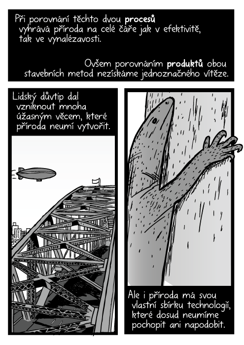 Komiks vzducholoď nad Sydney Harbour Bridge. Ještěr šplhající po stromu kresba. Při porovnání těchto dvou procesů vyhrává příroda na celé čáře jak v efektivitě, tak ve vynalézavosti. Ovšem porovnáním produktů obou stavebních metod nezískáme jednoznačného vítěze. Lidský důvtip dal vzniknout mnoha úžasným věcem, které příroda neumí vytvořit. Ale i příroda má svou vlastní sbírku technologií, které dosud neumíme pochopit ani napodobit.