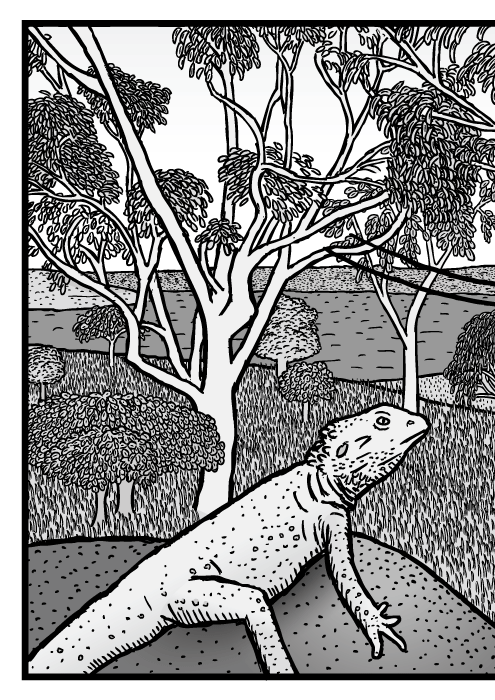 Australská příroda scéna kresba. Strom eukalyptus komiks.