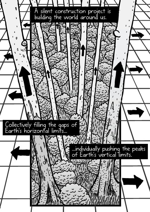 Forest grid drawing. Trees cartoon aerial arrows. A silent construction project is building the world around us. Collectively filling the gaps of Earth's horizontal limits...individually pushing the peaks of Earth's vertical limits.