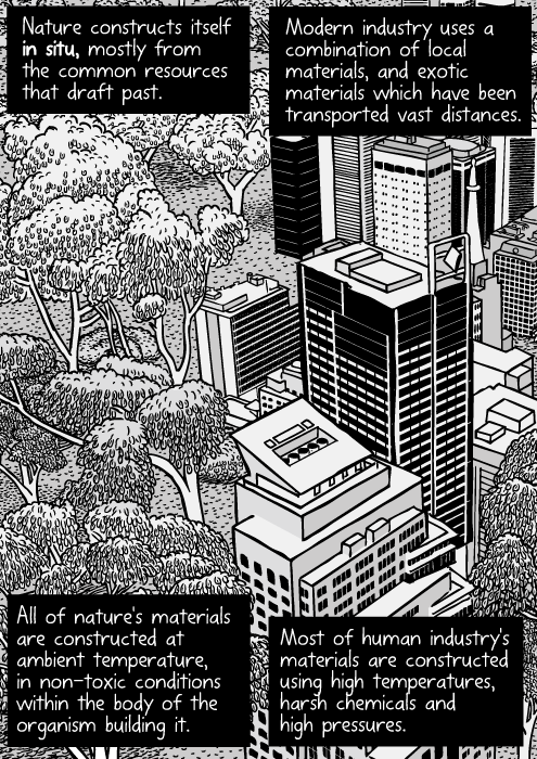 Urban nature cartoon. Skyscrapers next to bushland drawing.