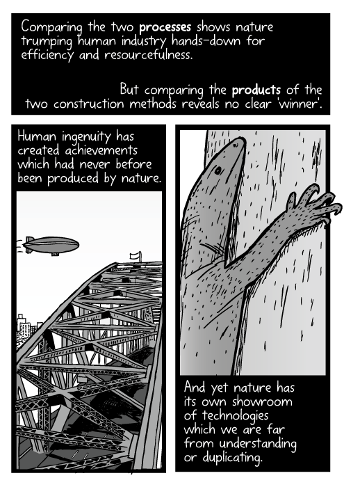 Cartoon blimp above Sydney Harbour Bridge. Lizard climbing tree drawing. Comparing the two processes shows nature trumping human industry hands-down for efficiency and resourcefulness. But comparing the products of the two construction methods reveals no clear 'winner'. Human ingenuity has created achievements which had never before been produced by nature. And yet nature has its own showroom of technologies which we are far from understanding or duplicating.