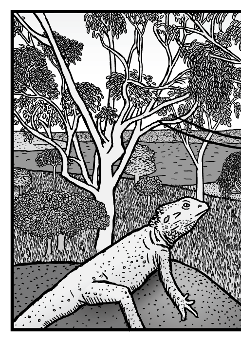 Australian bushland scene drawing. Eucalyptus trees cartoon. Gum tree Bearded Dragon lizard comic.