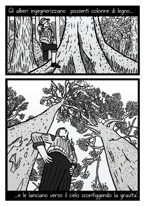 Inquadratura bassa di un disegno di un uomo sotto un albero. Vignetta di tronchi di alberi. Gli alberi ingegnerizzano possenti colonne di legno e le lanciano verso il cielo sconfiggendo la gravita'.