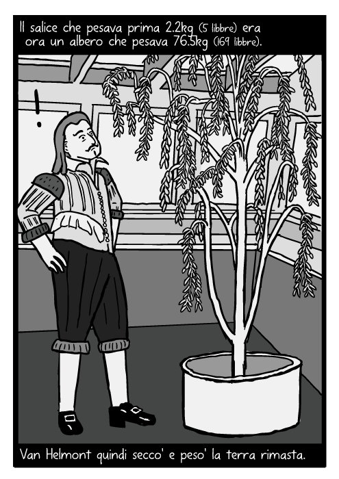 Fumetto di Jean Baptista van Helmont. Disegno del salice di Van Helmont. Il salice che pesava prima 2.2kg (5 libbre) era ora un albero che pesava 76.5kg (169 libbre). Van Helmont quindi secco' e peso' la terra rimasta.