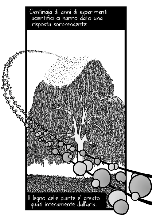 Disegno di un albero e di atomi di carbonio, idrogeno e ossigeno. Molecole di diossido di carbonio. Centinaia di anni di esperimenti scientifici ci hanno dato una risposta sorprendente: Il legno delle piante e' creato quasi interamente dall'aria.