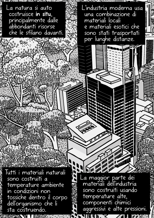 Vignetta di natura urbana. Disegno di grattacieli vicino ai cespugli. Torri di uffici e foresta. Vista aerea di alberi di citta'. La natura si auto costruisce in situ, principalmente dalle abbondanti risorse che le sfilano davanti. L'industria moderna usa una combinazione di materiali locali e materiali esotici che sono stati trasportati per lunghe distanze. Tutti i materiali naturali sono costruiti a temperature ambiente in condizioni non tossiche dentro il corpo dell'organismo che li sta costruendo. La maggior parte dei materiali dell'industria sono costruiti usando temperature alte, componenti chimici aggressivi e alte pressioni.