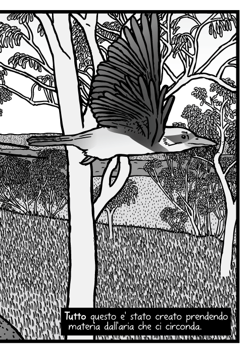 isegno di boscaglia australiana. Drago barbuto del albero della gomma, disegno di uccello Kookaburra.