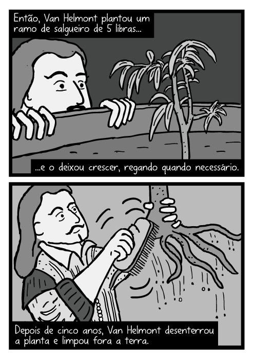 Cartum Jean Baptista van Helmont. Desenho escovando terra do salgueiro. Então, Van Helmont plantou um ramo de salgueiro de 5 libras...e o deixou crescer, regando quando necessário. Depois de cinco anos, Van Helmont desenterrou a planta e limpou fora a terra.