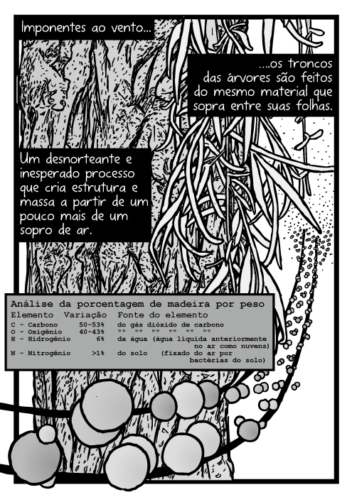 Desenho folhas descascando da árvore. Desenho átomos carbono hidrogênio oxigênio. Moléculas de dióxido de carbono. Imponentes ao vento...os troncos das árvores são feitos do mesmo material que sopra entre suas folhas. Um desnorteante e inesperado processo que cria estrutura e massa a partir de um pouco mais de um sopro de ar. Carbono, oxigênio, hidrogênio, nitrogênio.