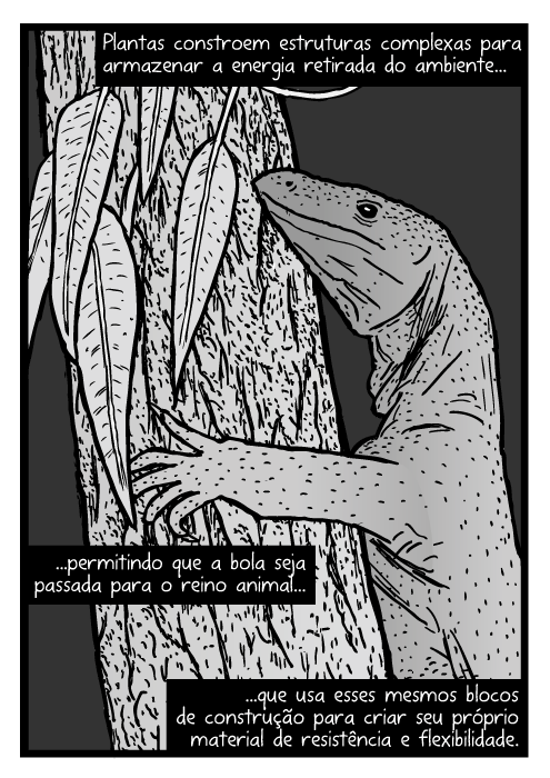 Cartum de lagartos goanna. Desenho Varanus varius. Lagarto na árvore. Plantas constroem estruturas complexas para armazenar a energia retirada do ambiente...permitindo que a bola seja passada para o reino animal...que usa esses mesmos blocos de construção para criar seu próprio material de resistência e flexibilidade.