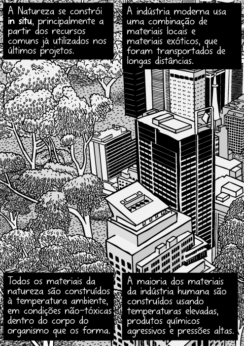 Cartum natureza urbana. Desenho de arranha-céus próximos de mata nativa. Torres de escritórios e floresta. Vista aérea das árvores da cidade. A Natureza se constrói in situ, principalmente a partir dos recursos comuns já utilizados nos últimos projetos. A indústria moderna usa uma combinação de materiais locais e materiais exóticos, que foram transportados de longas distâncias. Todos os materiais da natureza são construídos à temperatura ambiente, em condições não-tóxicas dentro do corpo do organismo que os forma. A maioria dos materiais da indústria humana são construídos usando temperaturas elevadas, produtos químicos agressivos e pressões altas.