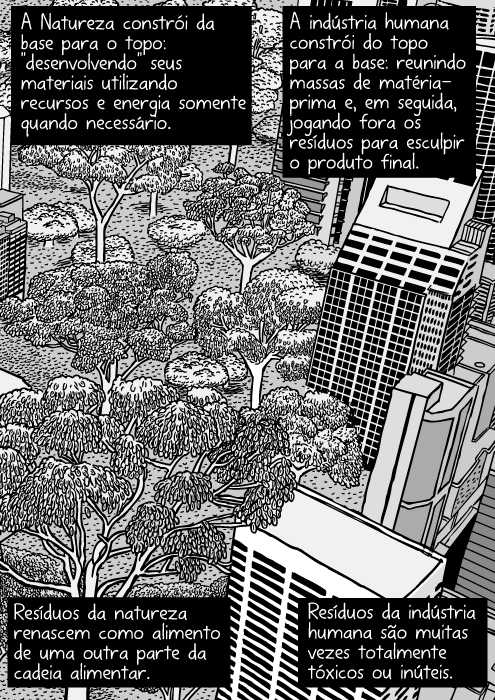 Cartum natureza urbana. Desenho de arranha-céus próximos de mata nativa. Torres de escritórios e floresta. Vista aérea das árvores da cidade. A Natureza constrói da base para o topo: 