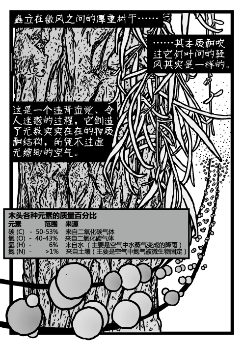 树皮和树叶。碳氢氧原子的卡通。二氧化碳分子。