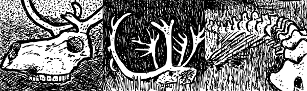 Black and white reindeer skull. Cartoon artwork by Stuart McMillen.