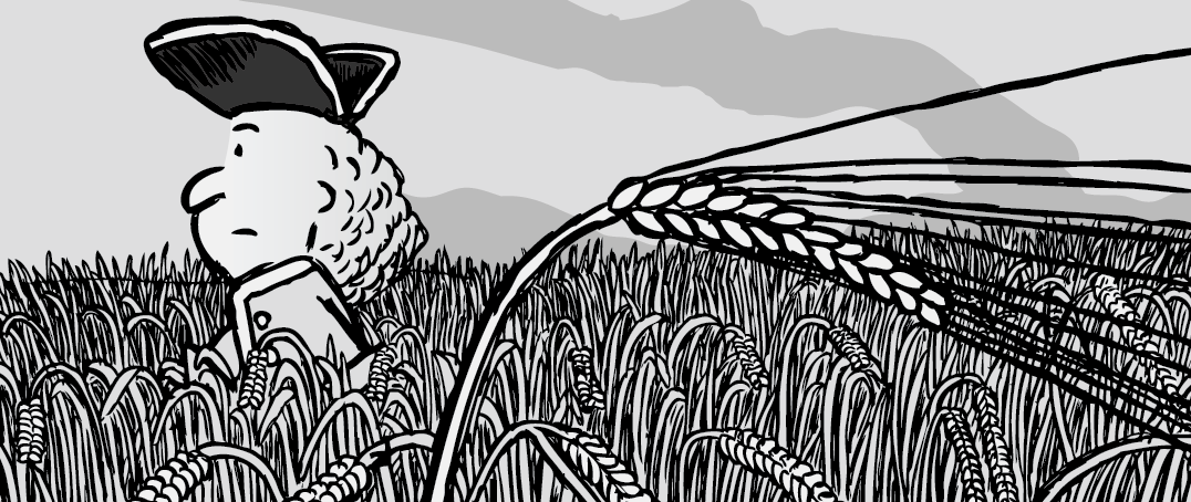 Cartoon man walking through wheat field cartoon illustration