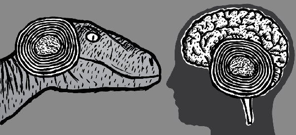 Velociraptor looking at human brain. Cartoon raptor drawing.