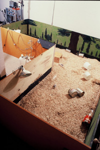 Photo of original Rat Park apparatus. Portrait view of the enclosure used in the Canadian drug experiments.