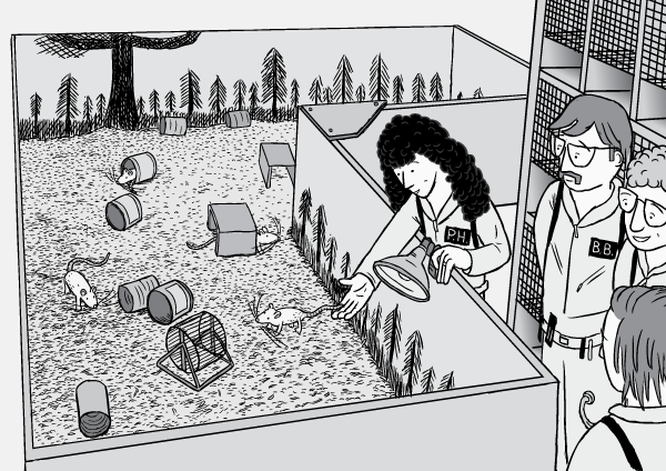Rat Park drug experiment comic. Black and white high angle drawing of rat enclosure and science researchers. Cartoon rats, cans, running wheels. Drawing of female scientist putting rat into cage. Scientists standing next to laboratory rat enclosure.