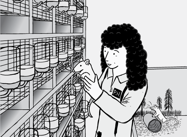 Drawing of Rat Park researcher Patricia Hadaway holding rat. Cartoon of laboratory cage racks and fluid bottles.