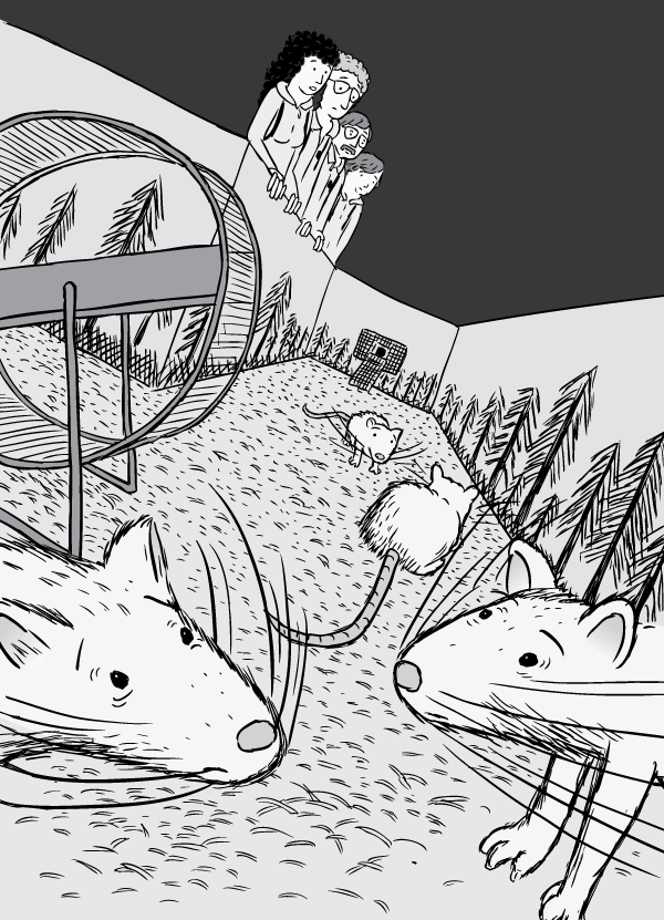 Dutch angle drawing. Tilted perspective of cartoon rats addicted to drugs. View of drug habituated rats inside Rat Park experiment.