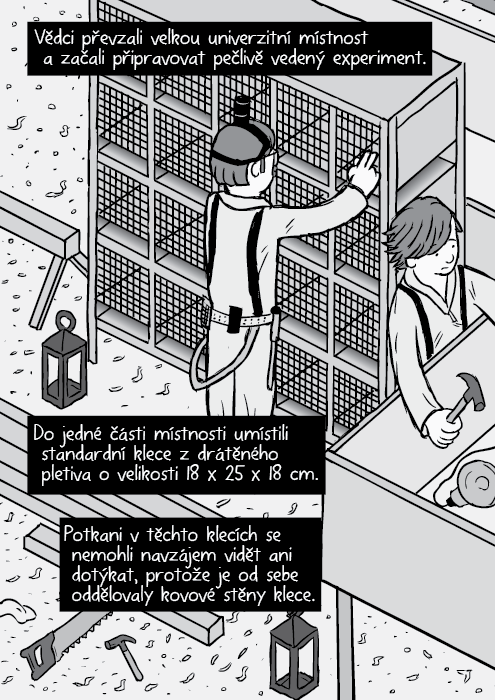 Komiks izometrický pohled laboratorní potkani stojan s klecemi. Vědci převzali velkou univerzitní místnost a začali připravovat pečlivě vedený experiment. Do jedné části místnosti umístili standardní klece z drátěného pletiva o velikosti 18 x 25 x 18 cm. Potkani v těchto klecích se nemohli navzájem vidět ani dotýkat, protože je od sebe oddělovaly kovové stěny klece.