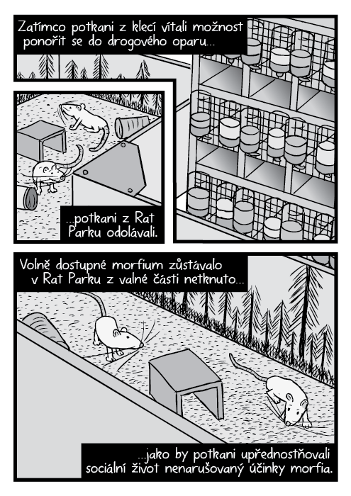 Komiks nadhled Rat Park potkani a stojan s klecemi. Zatímco potkani z klecí vítali možnost ponořit se do drogového oparu… …potkani z Rat Parku odolávali. Volně dostupné morfium zůstávalo v Rat Parku z valné části netknuto… …jako by potkani upřednostňovali sociální život nenarušovaný účinky morfia.