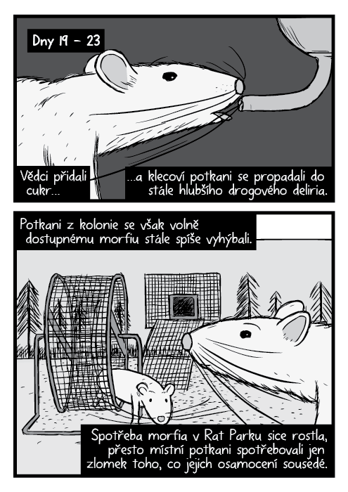 Černobílá detailní kresba potkan.Rat Park kolo na běhání komiks. Vědci přidali cukr… …a klecoví potkani se propadali do stále hlubšího drogového deliria. Potkani z kolonie se však volně dostupnému morfiu stále spíše vyhýbali. Spotřeba morfia v Rat Parku sice rostla, přesto místní potkani spotřebovali jen zlomek toho, co jejich osamocení sousedé.