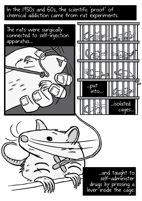 Cartoon rat surgery. Drawing tube in jugular vein. Rats inside cage rack black and white. In the 1950s and 60s, the scientific 'proof' came from rat experiments. The rats were surgically connected to self-injection apparatus...put into isolated cages...and taught to self-administer drugs by pressing a lever inside the cage.