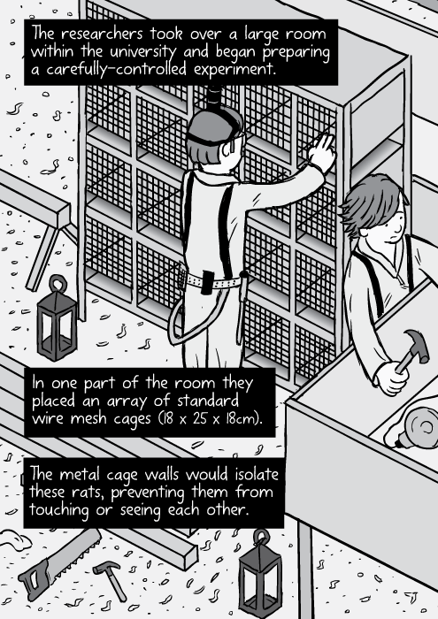 Rat Park drug experiment comic – Stuart McMillen comics