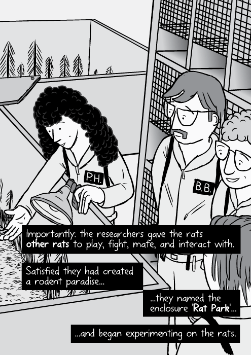 Cartoon Rat Park researchers high angle laboratory cages. Importantly: the researchers gave the rats other rats to play, fight, mate, and interact with. Satisfied they had created a rodent paradise...they named the enclosure 'Rat Park'...and began experimenting on the rats.