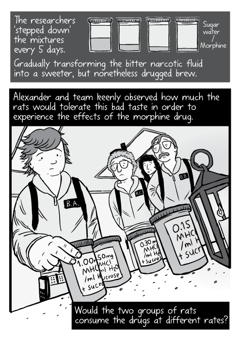 Low angle cartoon Ghostbusters scientists grabbing jar. Sugar water / morphine. The researchers 'stepped down' the mixtures every 5 days. Gradually transforming the bitter narcotic fluid into a sweeter, but nonetheless drugged brew. Alexander and team keenly observed how much the rats would tolerate this bad taste in order to experience the effects of the morphine drug. Would the two groups of rats consume the drugs at different rates?