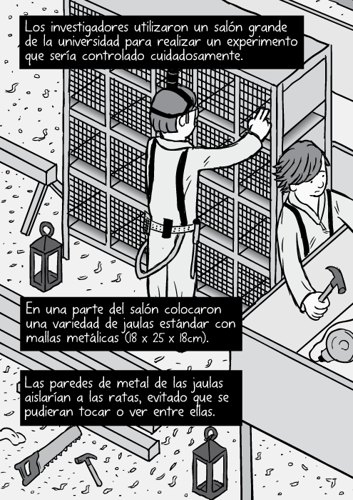 Caricatura de vista isométrica de la jaula con rejilla de laboratorio de las ratas. Los investigadores utilizaron un salón grande de la universidad para realizar un experimento que sería controlado cuidadosamente. En una parte del salón colocaron una variedad de jaulas estándar con mallas metálicas (18 x 25 x 18cm). Las paredes de metal de las jaulas aislarían a las ratas, evitado que se pudieran tocar o ver entre ellas.