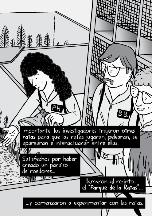 Caricatura, en el ángulo superior, de jaulas de laboratorio e investigadores del Parque de las Ratas. Importante: los investigadores trajeron otras ratas para que las ratas jugaran, pelearan, se aparearan e interactuaran entre ellas. Satisfechos por haber creado un paraíso de roedores...llamaron al recinto el “Parque de la Rata”...y comenzaron a experimentar con las ratas.