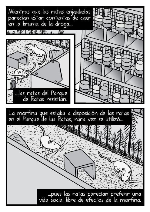 Caricatura, en el ángulo superior, de ratas en el Parque de las Ratas y rejas de la jaula. Mientras que las ratas enjauladas parecían estar contentas de caer en la bruma de la droga...las ratas del Parque de Ratas resistían. La morfina que estaba a disposición de las ratas en el Parque de las Ratas, rara vez se utilizó...pues las ratas parecían preferir una vida social libre de efectos de la morfina.