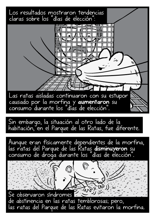 Caricatura a blanco y negro de una rata dentro de una jaula y un investigador mirándola.