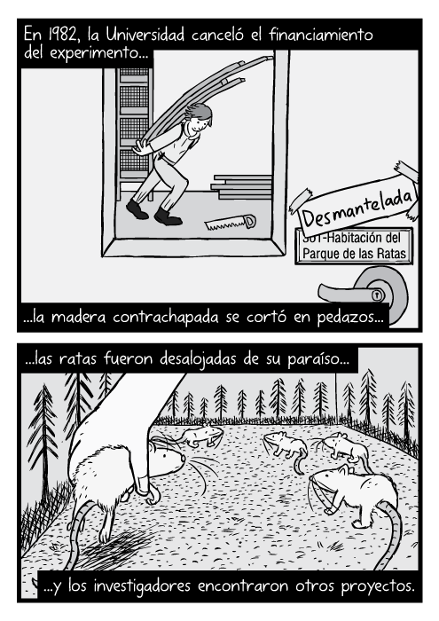 Dibujo del reflejo de un hombre en la ventana de la puerta. Parodia de Led Zeppelin IV. Caricatura de casas en blanco y negro. Habitación del Parque de las Ratas. Desmantelada. En 1982, la Universidad canceló el financiamiento del experimento...la madera contrachapada se cortó en pedazos...las ratas fueron desalojadas de su paraíso...y los investigadores encontraron otros proyectos.