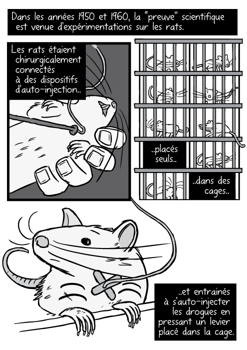 Dessin de Chirurgie sur un rat de BD. Placement d'un catheter dans la veine jugulaire. Des rangées de cages à rats en noir et blanc. Dans les années 1950 et 1960, la “preuve” scientifique est venue d'expérimentations sur les rats. Les rats étaient chirurgicalement connectés à des dispositifs d'auto-injection.. ..placés seuls dans des cages.. ..et entrainés à s'auto-injecter les drogues en pressant un levier placé dans la cage.