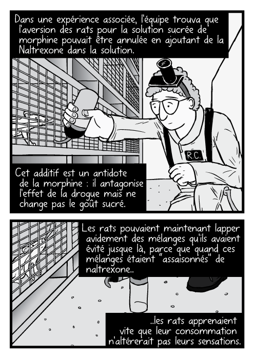 Un dessin de Robert Coambs, un des chercheurs, tenant une bouteille de morphine près d'une cage. Dans une expérience associée, l'équipe trouva que l'aversion des rats pour la solution sucrée de morphine pouvait être annulée en ajoutant de la Naltrexone dans la solution. Cet additif est un antidote de la morphine : il antagonise l'effet de la drogue mais ne change pas le goût sucré. Les rats pouvaient maintenant lapper avidement des mélanges qu'ils avaient évité jusque là , parce que quand ces mélanges étaient “assaisonnés” de naltrexone,.. ..les rats apprenaient vite que leur consommation n'altérerait pas leurs sensations.