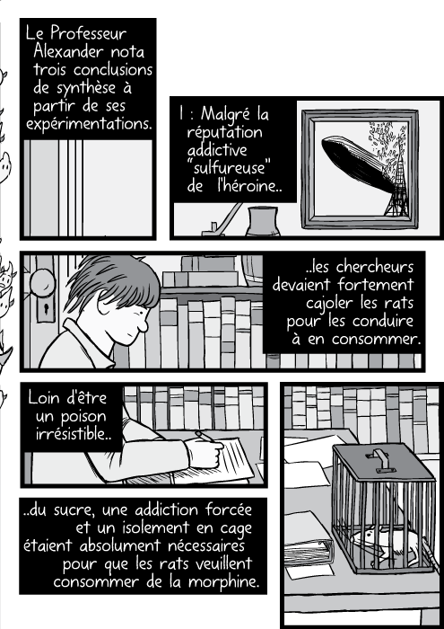 Un dessin de Bruce Alexander assis devant un bureau. Le Professeur Alexander nota trois conclusions de synthèse à partir de ses expérimentations. I : Malgré la réputation addictive “sulfureuse” de l'héroine.. ..les chercheurs devaient fortement cajoler les rats pour les conduire à en consommer. Loin d'être un poison irrésistible.. ..du sucre, une addiction forcée et un isolement en cage étaient absolument nécessaires pour que les rats veuillent consommer de la morphine.