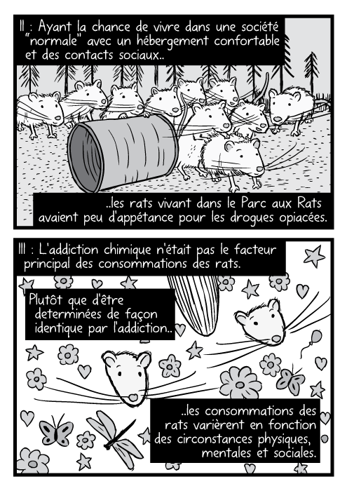 Des dessins de rats. Une parodie de couverture de Led Zeppelin II. Un dessin de Led Zeppelin III en noir et blanc. II : Ayant la chance de vivre dans une société “normale” avec un hébergement confortable et des contacts sociaux.. ..les rats vivant dans le Parc aux Rats avaient peu d'appétance pour les drogues opiacées. III : L'addiction chimique n'était pas le facteur principal des consommations des rats. Plutôt que d'être determinées de façon identique par l'addiction.. ..les consommations des rats varièrent en fonction des circonstances physiques, mentales et sociales.