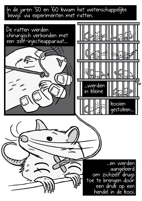 Strip rat operatie. Tekening buis in halsader. Ratten in kooien zwart wit. In de jaren ‘50 en ‘60 kwam het wetenschappelijke ‘bewijs’ via experimenten met ratten. De ratten werden chirurgisch verbonden met een zelf-injectieapparaat...werden in kleine kooien gestoken...en werden aangeleerd om zichzelf drugs toe te brengen door een druk op een hendel in de kooi.