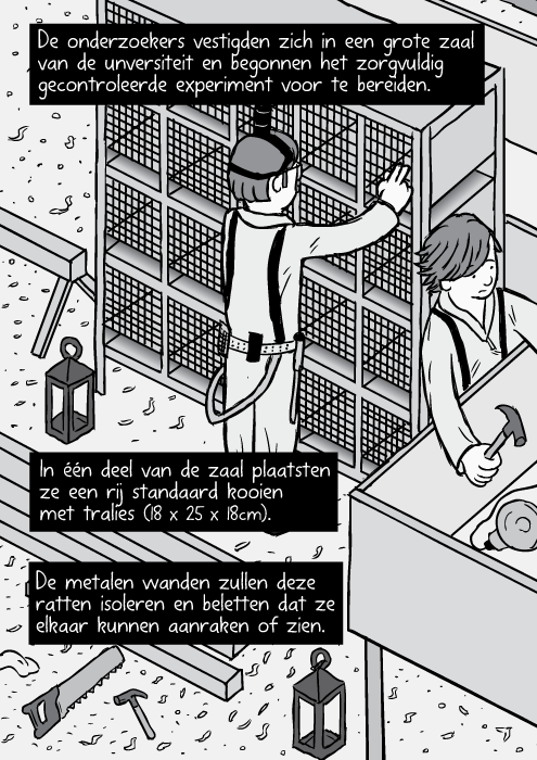 Strip isometrisch zicht laboratorium rat kooi rek. De onderzoekers vestigden zich in een grote zaal van de unversiteit en begonnen het zorgvuldig gecontroleerde experiment voor te bereiden. In één deel van de zaal plaatsten ze een rij standaard kooien met tralies (18 x 25 x 18cm). De metalen wanden zullen deze ratten isoleren en beletten dat ze elkaar kunnen aanraken of zien.