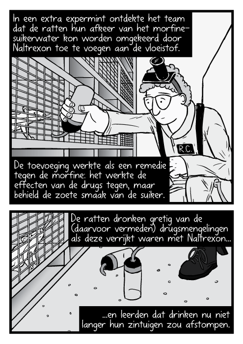 Strip onderzoeker Robert Coambs met fles morfine rat kooien tekening. In een extra expermint ontdekte het team dat de ratten hun afkeer van het morfine-suikerwater kon worden omgekeerd door Naltrexon toe te voegen aan de vloeistof. De toevoeging werkte als een remedie tegen de morfine: het werkte de effecten van de drugs tegen, maar behield de zoete smaak van de suiker. De ratten dronken gretig van de (daarvoor vermeden) drugsmengelingen als deze verrijkt waren met Naltrexon...en leerden dat drinken nu niet langer hun zintuigen zou afstompen.