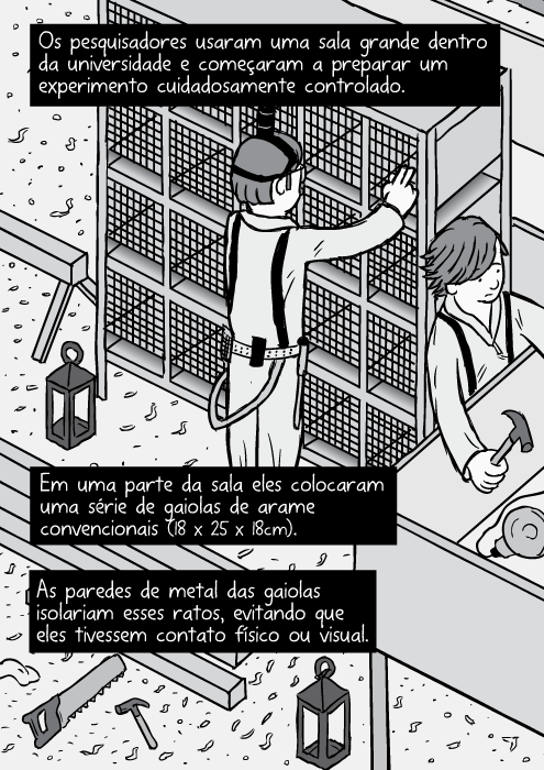 Cartum visão isométrica laboratório rato rack gaiola. Os pesquisadores usaram uma sala grande dentro da universidade e começaram a preparar um experimento cuidadosamente controlado. Em uma parte da sala eles colocaram uma série de gaiolas de arame convencionais (18 x 25 x 18cm). As paredes de metal das gaiolas isolariam esses ratos, evitando que eles tivessem contato físico ou visual.