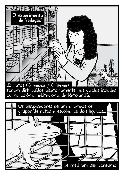 Desenho cientista feminina segurando rato de laboratório. Cartum rato dentro gaiola, pesquisador olhando dentro. O experimento de 'sedução'. 32 ratos (16 machos / 16 fêmeas) foram distribuídos aleatoriamente nas gaiolas isoladas ou na colônia habitacional da Ratolândia. Os pesquisadores deram a ambos os grupos de ratos a escolha de dois líquidos...e mediram seu consumo.