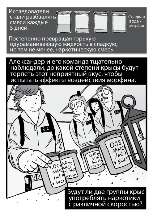 Изображение с низкого ракурса учёных, берущих банку, пародия на Охотников за привидениями. Сладкая вода / морфин. Исследователи стали разбавлять смеси каждые 5 дней. Постепенно превращая горькую одураманивающую жидкость в сладкую, но тем не менее, наркотическую смесь. Александер и его команда тщательно наблюдали, до какой степени крысы будут терпеть этот неприятный вкус, чтобы испытать эффекты воздействия морфина. Будут ли две группы крыс употреблять наркотики с различной скоростью?