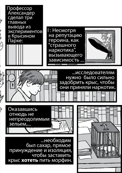 Карикатурный Брюс Александер, сидящий в офисе за столом. Профессор Александер сделал три главных вывода из экспериментов в Крысином Парке: I : Несмотря на репутацию героина, как “страшного наркотика”, вызывающего зависимость исследователям нужно было сильно задобрить крыс, чтобы они приняли наркотик. Оказавшись отнюдь не непреодолимым зельем, необходим был сахар, прямое принуждение и изоляция, чтобы заставить крыс хотеть пить морфин.